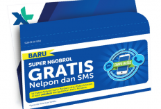 Kenapa Kode Masuk Voucher XL Gagal Digunakan? Tak Perlu Panik! Begini Cara Mudah Mengatasinya