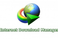 Download IDM Android MOD APK V16.0.1 Terbaik 2024 Full Premium Unlocked Gratis dan Cara Menggunakannya