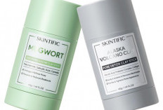 Harga Masker Skintific Mugwort dan Alaska Volcano Clay Mask Stick, Dibawah 100 Ribu Aja!