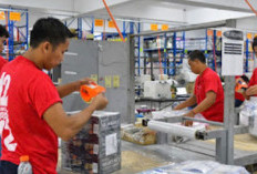 Info Lowongan Kerja PT Indotama Jaya Ekspedisi Februari 2024 Buka Banyak Posisi Fresh Graduate Buruan Apply Sebelum Penuh 