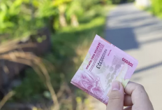 Begini Tips Biar Akun Pinjolmu Di ACC Meski Data Kamu Expired, Intip Disini ya Geng!
