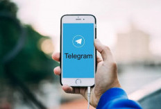 Daftar Link Grup Telegram Video Meseum Viral dan Terbaru, Mudah dan Gratis Diakses!