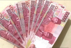 Apakah MSL Penghasil Uang adalah Penipuan atau Bukan, Jangan Download Dulu Kalau Belum Tau Ini
