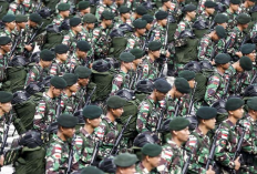 Contoh Surat Lamaran Menjadi Prajurit Bintara TNI AD dengan Tata Bahasa Baik dan Benar
