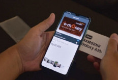 Kantong Kering Catat! Daftar Aplikasi Pinjol Ilegal Tenor Panjang Tanpa DC, Satgas Catat Ada 7.502 Layanan Pinjaman Online Abal-Abal