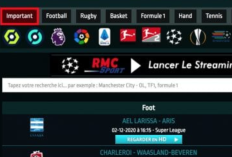Streamonsport, la Nouvelle Adresse en Août 2025: Pour Regarder ton Match de Football Préféré