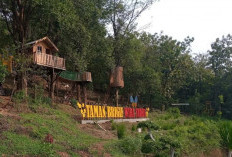 Rute dan Lokasi Taman Brigif Wira Yudha Kediri Cocok Banget Buat yang Mau Healing Bisa Ngopi Cantik, Renang, Atau Jogging 