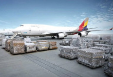 Loker PT Legion Express Logistindo Penipuan atau Peluang? Hati-hati Bagi Para Pencari Kerja!