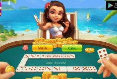 Cara Memunculkan Tombol Kirim Higgs Domino yang Hilang, Pake Cara Mudah ini Auto Berhasil!