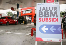 Simak Harga BBM Pertamina Terbaru 2026, Mulai Berlaku Pada 2 Oktober Jangan Sampai Salah Harga!