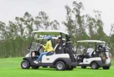 Di Tengah Ekonomi Sulit, Anggaran Rp4,1 Miliar untuk Mobil Golf di 4 Kementerian Jadi Sorotan