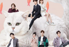 Sinopsis Drama China Accidentally Meow on You (2022), Drama Romcom Terbaru Dibintangi Oleh Xing Zhao Lin dan Hu Bing Qing Lin