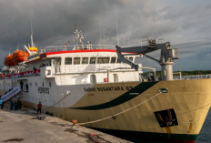 Jadwal Kapal Laut Sabuk Nusantara 89 Maret 2023 Lengkap Untuk Seluruh Rute Pelayaran