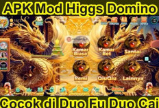 Download Mod Apk Higgs Domino X8 Speeder Update Januari 2024, Tanpa Password Tema Terbaru Paling Keren!