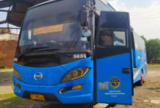 Harga dan Cara Beli Tiket Bus DAMRI Bandung ke Bandara Kertajati Terbaru 2023, Tersedia Jadwal Keberangkat Tiap Jam