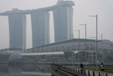 Respon Resmi Kementerian Lingkungan Hidup Indonesia Terkait Langkah Tegas Singapura Mengirim Surat Peringatan ke Sepuluh Perusahaan Swasta