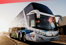4 Rekomendasi Agen Bus Daerah Cikarang Lengkap Dengan No Telp Hingga Rutenya, Booking Sekarang Buat Mudik Lebaran 2023