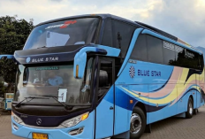 Harga Tiket Bus Lebaran 2023 Dengan Berbagai Rute Tujuan, Khusus Buat yang Ingin Mudik Tahun Ini