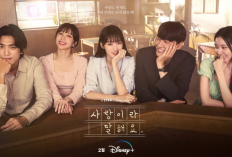 Sinopsis Drama Korea Call It Love (2023), Romansa Antara Kim Young Kwang dan Lee Sung Kyung