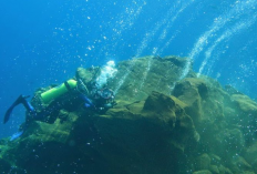 Fakta Gunung Bawah Laut di Pacitan, Miliki Ketinggian 2.300 Meter dari Dasar Laut Hingga Info Terbentuknya