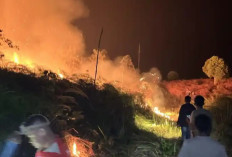 Haji Isam Punya Peran Penting dalam Penanganan Karhutla Kalsel, Tegaskan Bukan Koordinator