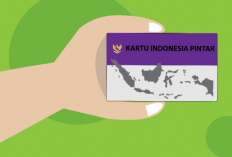 Cara Cek PIP Kemdikbud Terbaru 2024, Dana Bantuan Untuk Siswa SD, SMP, Hingga SMA/SMK