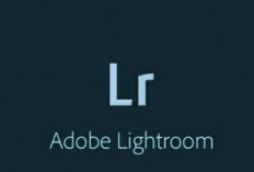 Download Lightroom Mod APK Latest Version Terbaru 2024 (Premium Unlocked), Gratis Unduh Disini!