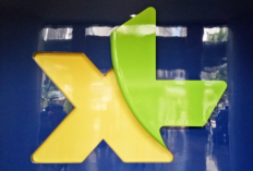 Kumpulan Bug XL Terbaru 2024 Gratis Kuota Internet Unlimited, Begini Cara Menggunakannya!