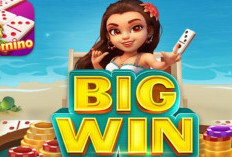 APK Mitra Higgs Domino Island Termurah Bulan Januari 2024, Tanpa Iklan! Dijamin Banyak Untungnya
