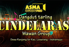 Contoh Desain Banner Orkes Dangdut Keren dan Menarik, Bisa Jadi Referensi Desain Kamu!