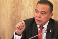 Profil dan Biodata Sufmi Dasco Ahmad Wakil Ketua DPR RI Fraksi Gerindra, Guru Besar Ilmu Hukum 