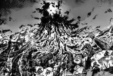 Link Manga My Hero Academia Chapter 425 Sub Indonesia Kelemahan Deku Sudah Diketahui Afo