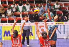 Nonton Live Streaming Proliga 2023 Pekan Ketiga di Palembang Hari Ini, 22 Januari 2023 Legal dan GRATIS