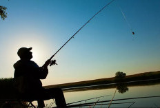 Kalender Mancing Hari Ini 8-9 Januari 2024 (Mancing Laut) Persiapkan Sekarang! Peluang Besar Dapat Banyak