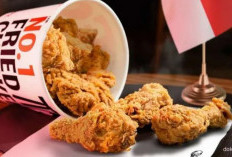 Paket Hemat! PROMO KFC Terbaru Januari 2024, Spesial 9 Potong Ayam KFC Hanya Rp 49 Ribu