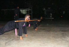 Pengertian Jurus Toya PSHT dan Contoh Gerakan 1-25, Permudah Para Siswa Baru Latihan