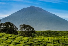 Gunung Kerinci, Jadi Gunung Tertinggi di Pulau Sumatera dengan Keindahan Alam Nan Eksotis
