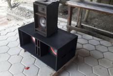 Apa Kelebihan dan Kekurangan Box Dynacord? Ternyata Ini Dia Perbedaan Karakternya