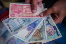 No WA Kolektor Uang Kuno Terbaru 2024 yang Masih Aktif, Segera Hubungi! Dapatkan Harga Terbaik