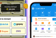 Cara Tarik Saldo Wild Cash di DANA, OVO, GoPay, Shopee Terbaru 2025, Mudah Tanpa Potongan!