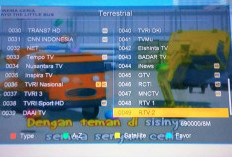 20+ Daftar Frekuensi TV Digital Daerah Sukoharjo, Nikmati Kemudahan Akses Berita Terkini!