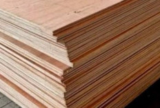 Harga Triplek 18 mm Terbaru 2024 di Toko Bangunan Terdekat Langsung Cek di Sini Untuk Dapatkan Harga Termurah 