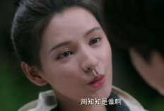 Nonton Drama China South Wind Knows (2023) Full Episode Sub Indo GRATIS Fu Yun Shen Ditusuk Dari Belakang Oleh Rekan Bisnisnya