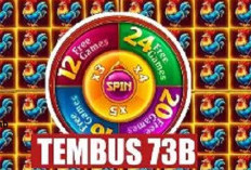 AUTO JACKPOT!! Pola Room Panda Hari Ini 3 Januari 2024, Ikuti Triknya dan Menangkan Maxwin Full