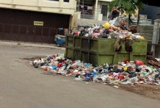 Cara Mengolah Sampah Rumah Tangga yang Paling Efektif dan Sederhana, Yuk Ikut Menjaga Lingkungan