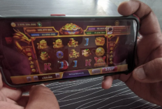 Download Higgs Domino RP Original APK 2023 Unlimited Money Desember 2023, Lengkap dengan X8 Speeder Spin Otomatis