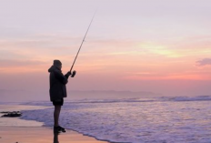 Kalender Mancing Desember 2023 di Laut, Catat Fase Bulan dan Hari Baiknya, Demi Hasil Melimpah Ruah!