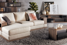 Rekomendasi Sofa Elegan Untuk Ruang Tamu Kecil, Pakai Model Ini Jadi Terlihat Lebih Luas!