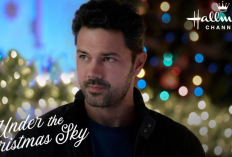 Film Tema Natal Terbaru! Cek Sinopsis Under the Christmas Sky (2023) yang Diproduksi Oleh Hallmark Channel