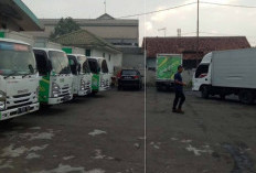Apakah PT Surya Trasindo Jaya Penipuan? Cek Faktanya dari Ulasan Langsung Pelamar Disini!